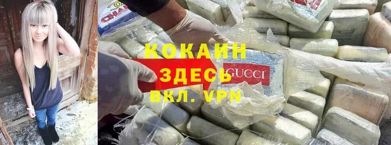 Cocaine Эквадор  сколько стоит  Малмыж 